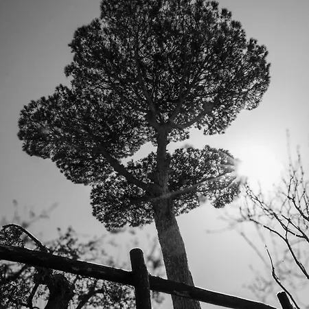 L'antica Pigna Chateau *