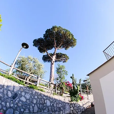 L'antica Pigna Chateau